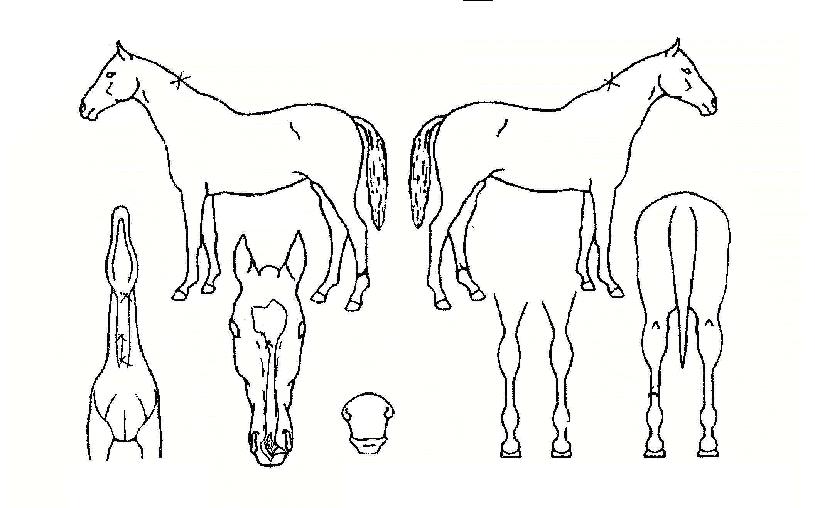 ��켱�� ����,���,�޸�,�λ�,�ٸ��� Ư¡����