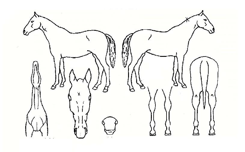 ��ǻ�����ڸ��� ����,���,�޸�,�λ�,�ٸ��� Ư¡����