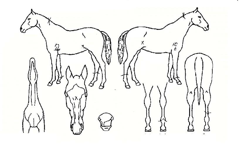 �޸������ ����,���,�޸�,�λ�,�ٸ��� Ư¡����