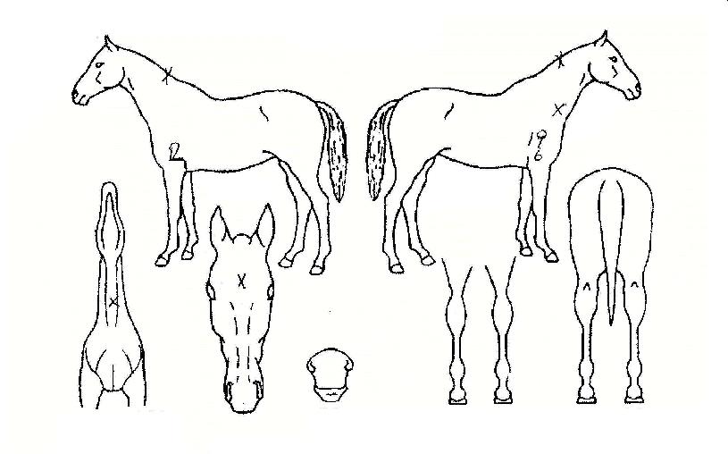 ��������ͺ��� ����,���,�޸�,�λ�,�ٸ��� Ư¡����