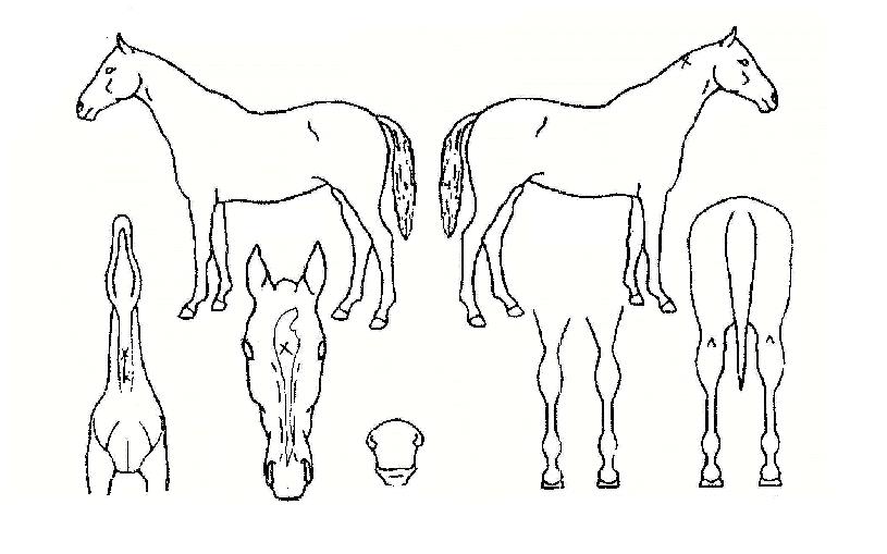 ������̽��� ����,���,�޸�,�λ�,�ٸ��� Ư¡����