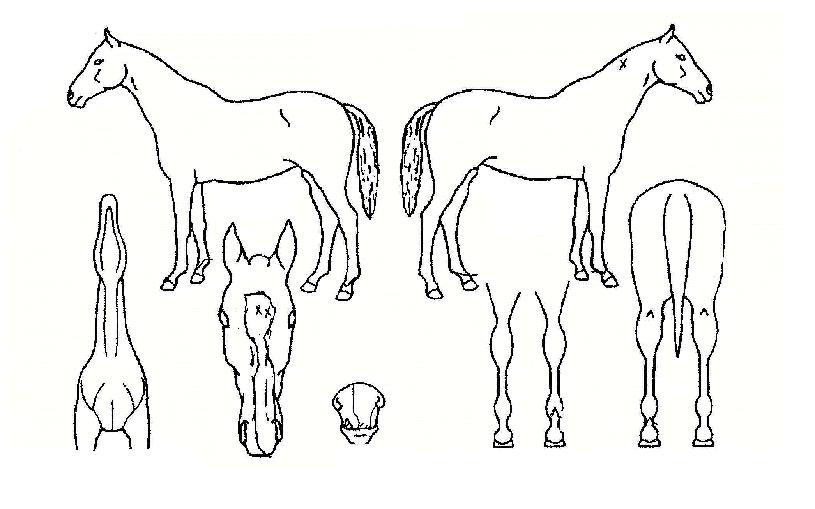 �ݺ������� ����,���,�޸�,�λ�,�ٸ��� Ư¡����