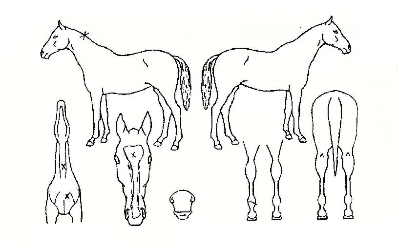 ���ó���� ����,���,�޸�,�λ�,�ٸ��� Ư¡����