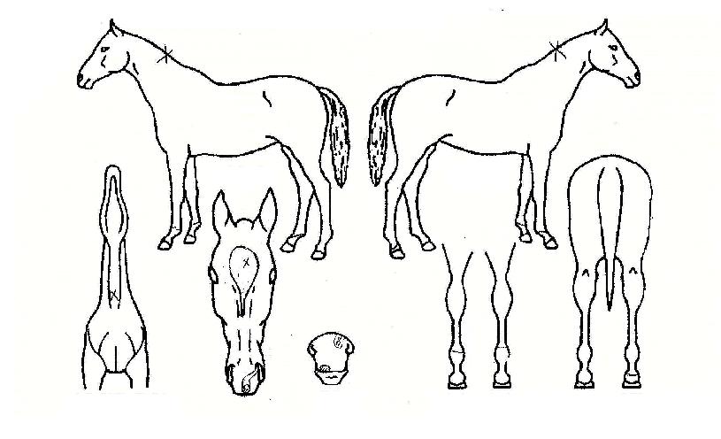 ��Ű������ ����,���,�޸�,�λ�,�ٸ��� Ư¡����