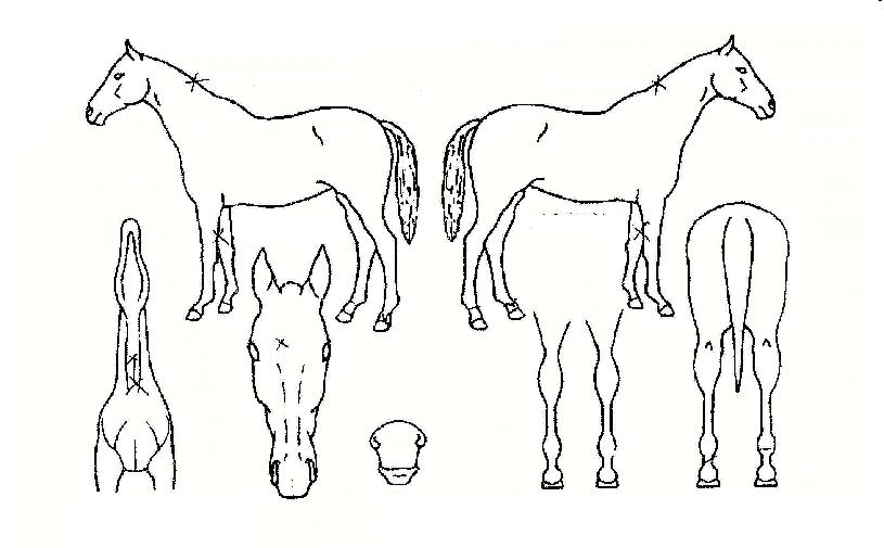 ȭ���ѽ¸��� ����,���,�޸�,�λ�,�ٸ��� Ư¡����