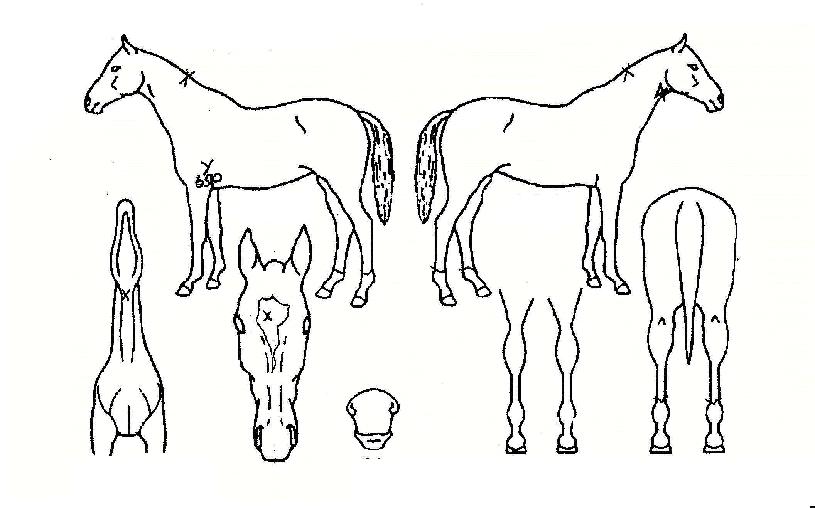 ���̺����� ����,���,�޸�,�λ�,�ٸ��� Ư¡����