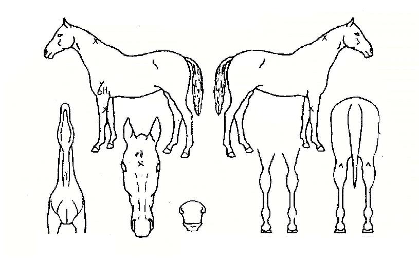 ��ģ���� ����,���,�޸�,�λ�,�ٸ��� Ư¡����