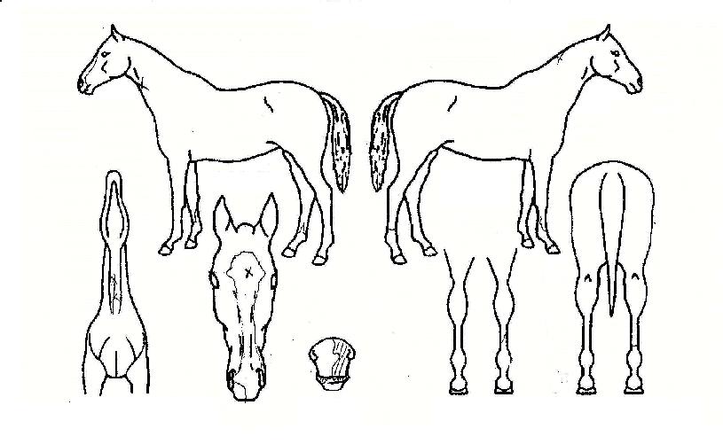 ��ũ������� ����,���,�޸�,�λ�,�ٸ��� Ư¡����