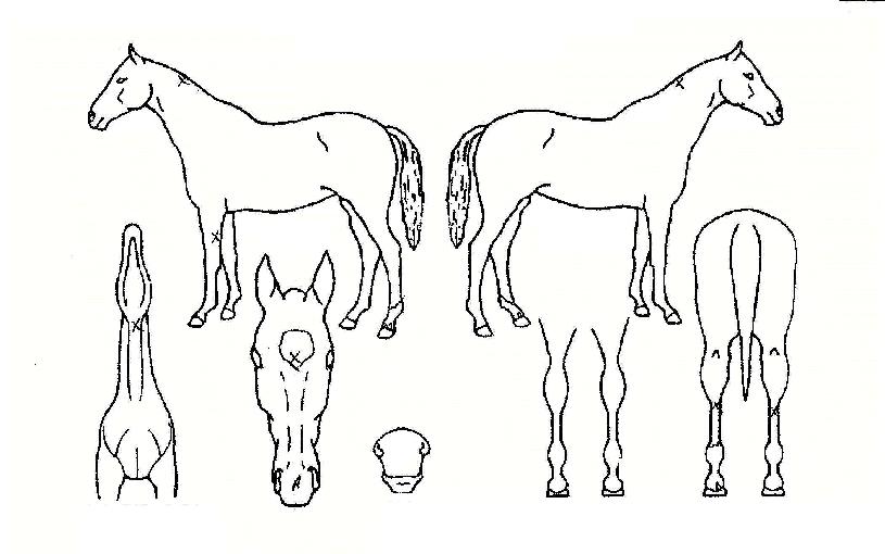 ½ÃƼ°ÉÀÇ Ãø¸é,¿ì¸é,µÞ¸é,µÎ»ó,´Ù¸®ÀÇ Æ¯Â¡µµÇØ