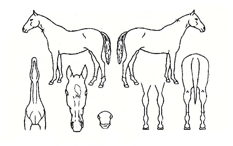 Ʃ���� ����,���,�޸�,�λ�,�ٸ��� Ư¡����