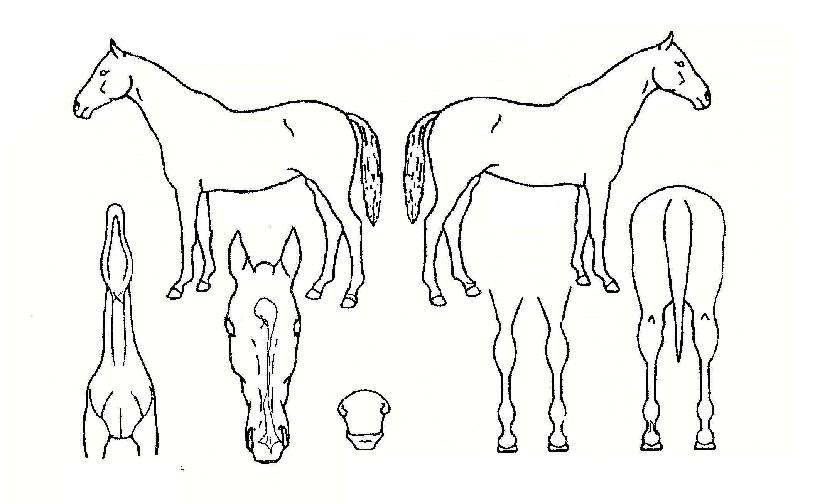 ���ݺ����� ����,���,�޸�,�λ�,�ٸ��� Ư¡����