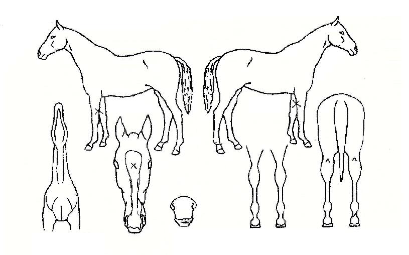 ��ũ�������� ����,���,�޸�,�λ�,�ٸ��� Ư¡����