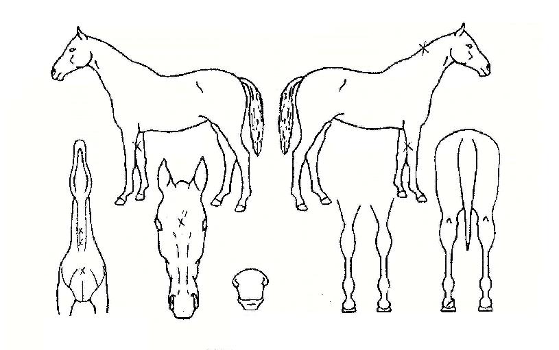 �����۸����ڸ��� ����,���,�޸�,�λ�,�ٸ��� Ư¡����