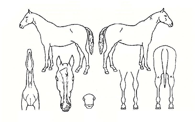 �ָ��ֿ��� ����,���,�޸�,�λ�,�ٸ��� Ư¡����