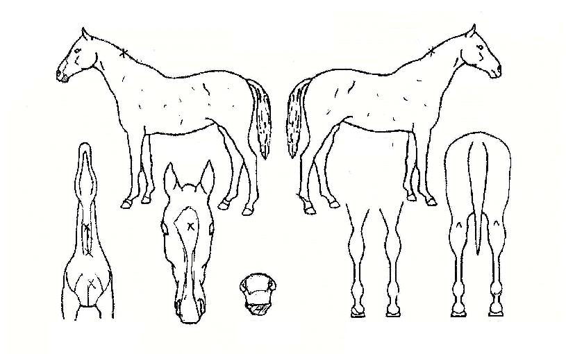 ±æ»ó¿©ÀÇÀÇ Ãø¸é,¿ì¸é,µÞ¸é,µÎ»ó,´Ù¸®ÀÇ Æ¯Â¡µµÇØ