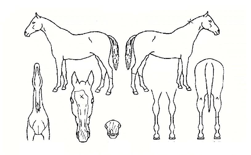 ���忣���� ����,���,�޸�,�λ�,�ٸ��� Ư¡����