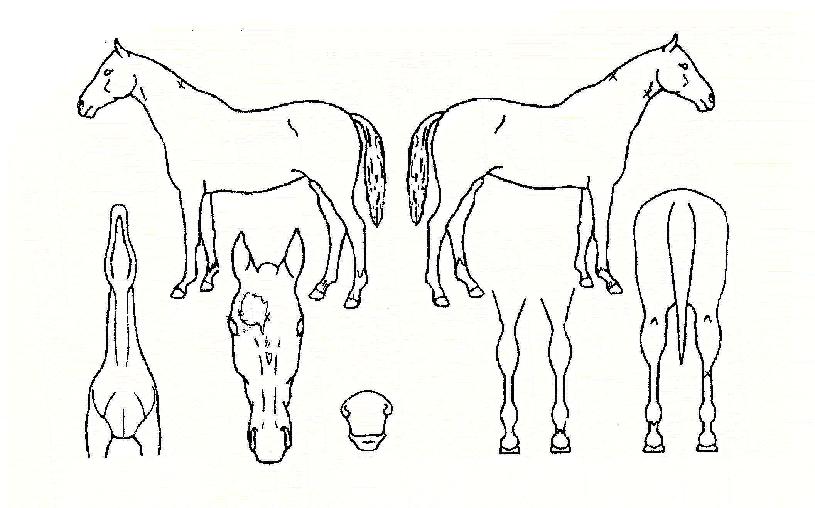 ������Ű�� ����,���,�޸�,�λ�,�ٸ��� Ư¡����