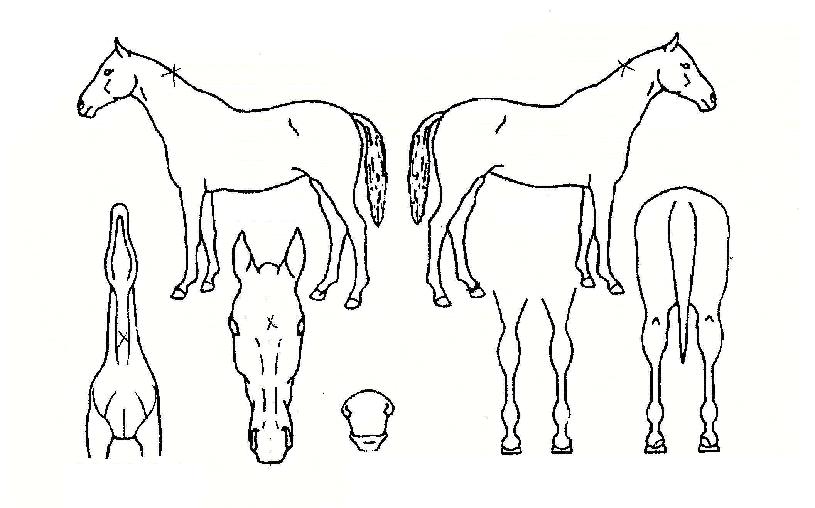 ����Ű������ ����,���,�޸�,�λ�,�ٸ��� Ư¡����