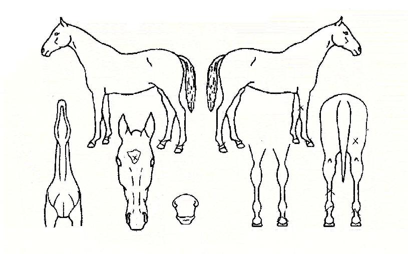 ��º����� ����,���,�޸�,�λ�,�ٸ��� Ư¡����