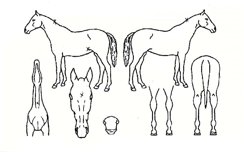 ���翡�̽��� ����,���,�޸�,�λ�,�ٸ��� Ư¡����