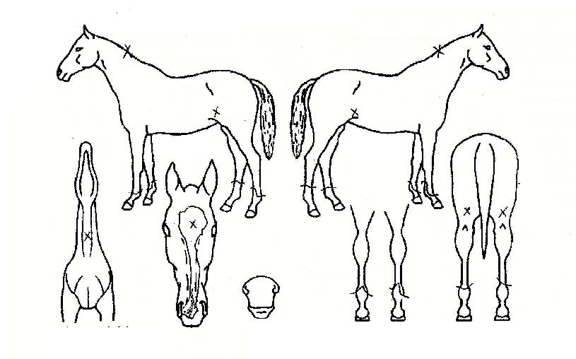 ü��Ű���� ����,���,�޸�,�λ�,�ٸ��� Ư¡����