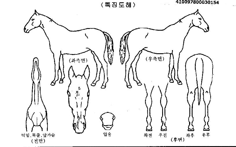 �𸷽��� ����,���,�޸�,�λ�,�ٸ��� Ư¡����