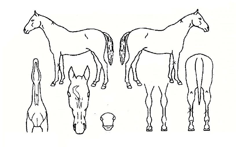 �������׶��δ��ڸ��� ����,���,�޸�,�λ�,�ٸ��� Ư¡����