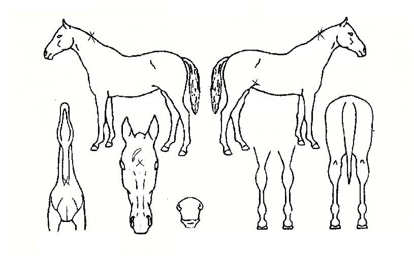 ±¸ÃàÇÔÀÇ Ãø¸é,¿ì¸é,µÞ¸é,µÎ»ó,´Ù¸®ÀÇ Æ¯Â¡µµÇØ