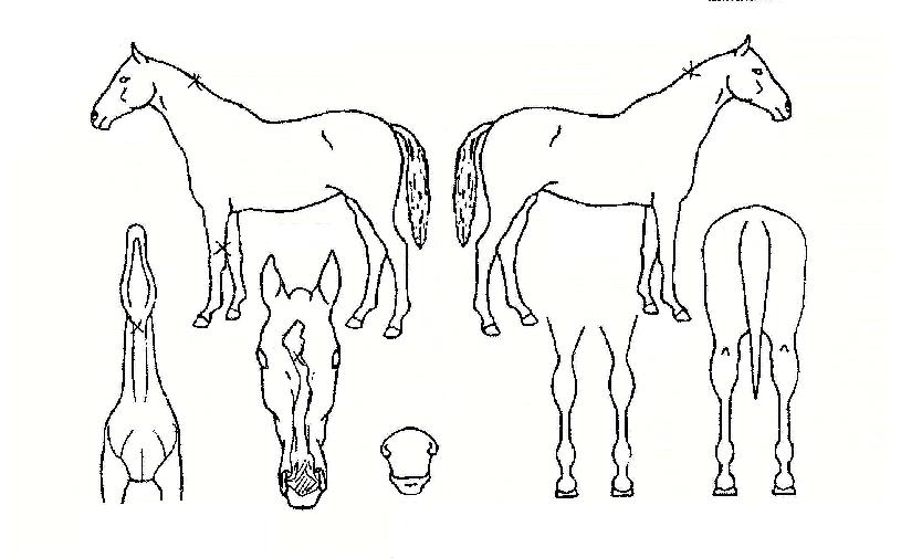 ��ǰ�ô��� ����,���,�޸�,�λ�,�ٸ��� Ư¡����