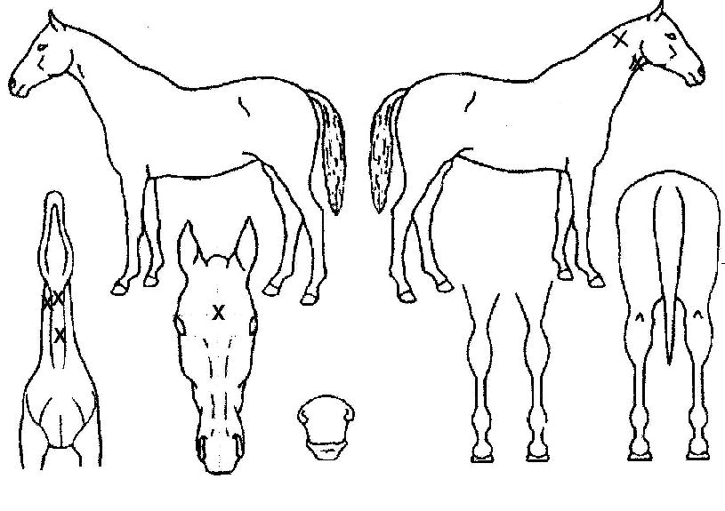 �÷������� ����,���,�޸�,�λ�,�ٸ��� Ư¡����