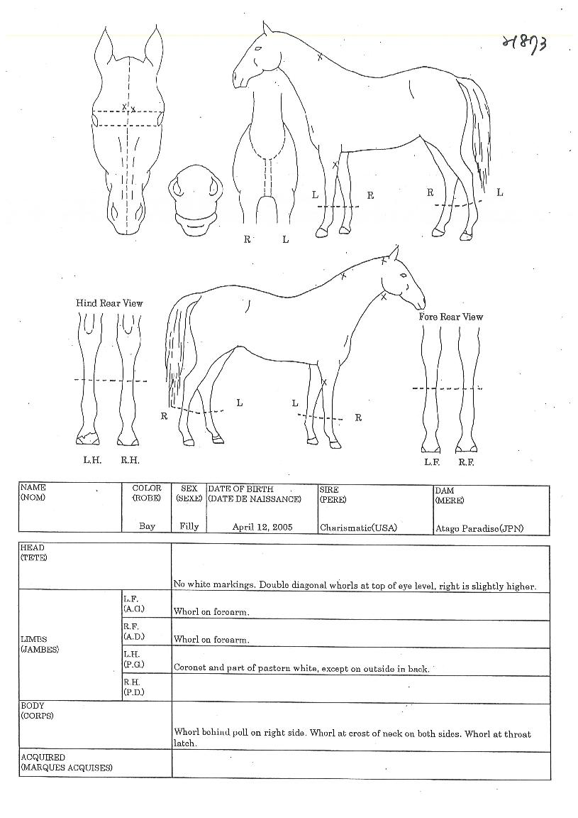 ���������� ����,���,�޸�,�λ�,�ٸ��� Ư¡����