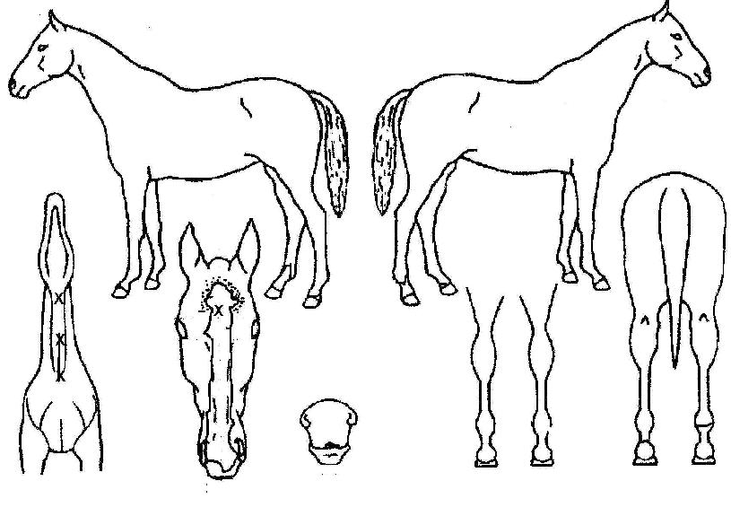 ����Ʈ������� ����,���,�޸�,�λ�,�ٸ��� Ư¡����