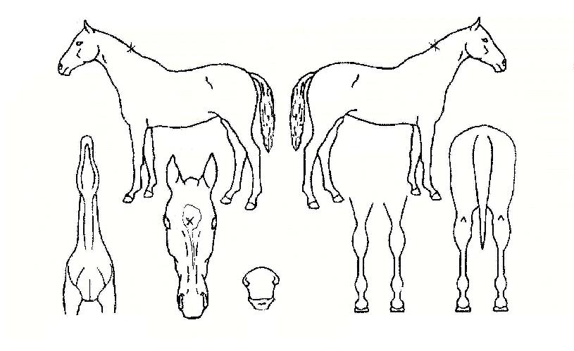 �������̽��� ����,���,�޸�,�λ�,�ٸ��� Ư¡����