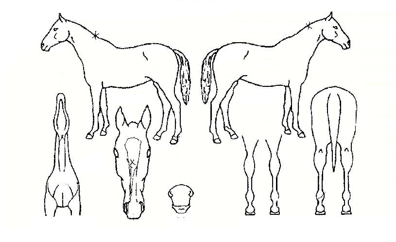 �賲�� ����,���,�޸�,�λ�,�ٸ��� Ư¡����