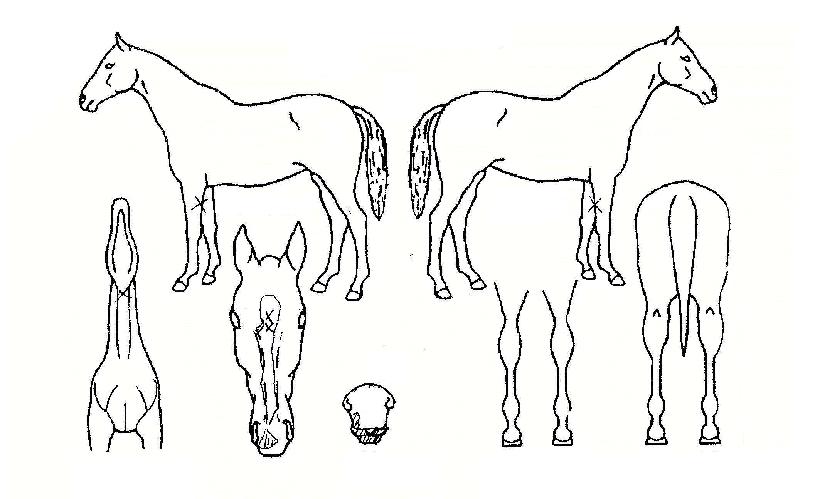 ưư������ ����,���,�޸�,�λ�,�ٸ��� Ư¡����