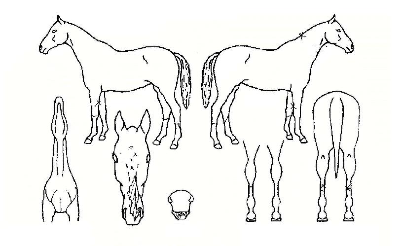 �������� ����,���,�޸�,�λ�,�ٸ��� Ư¡����