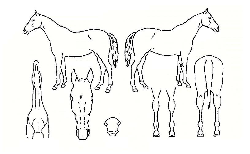 �������� ����,���,�޸�,�λ�,�ٸ��� Ư¡����