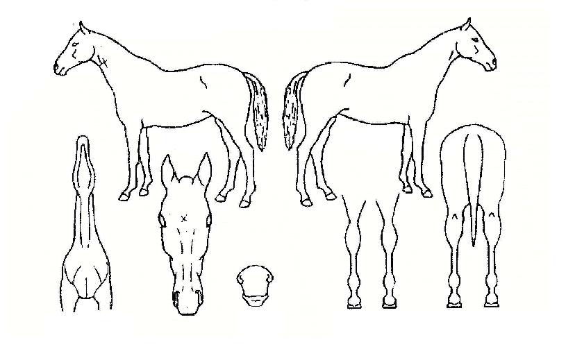 ȭ��Ʈ�������� ����,���,�޸�,�λ�,�ٸ��� Ư¡����