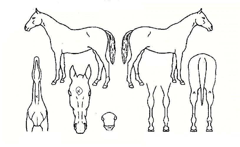 ���¯�� ����,���,�޸�,�λ�,�ٸ��� Ư¡����