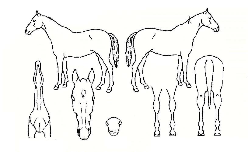 ���д���� ����,���,�޸�,�λ�,�ٸ��� Ư¡����