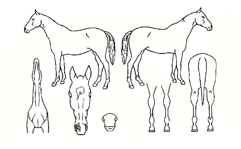 Ÿ�߼���Ű�����ڸ��� ����,���,�޸�,�λ�,�ٸ��� Ư¡����