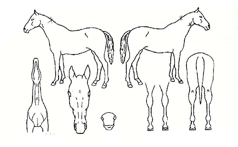 �Ϸ���������� ����,���,�޸�,�λ�,�ٸ��� Ư¡����