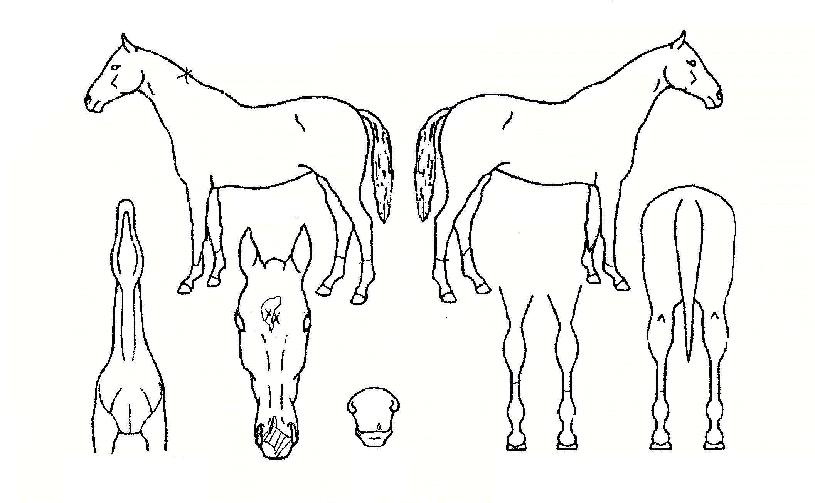 ������Ű�� ����,���,�޸�,�λ�,�ٸ��� Ư¡����