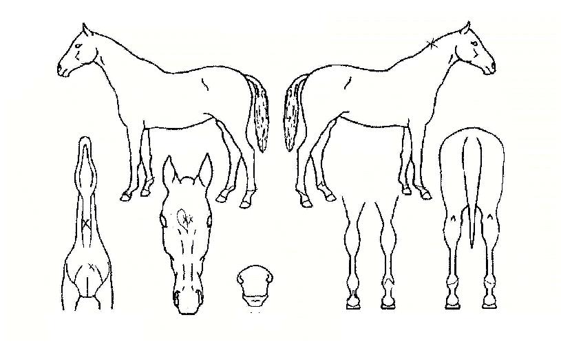 �����̽��ڸ��� ����,���,�޸�,�λ�,�ٸ��� Ư¡����