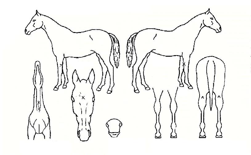 ü��Ű���� ����,���,�޸�,�λ�,�ٸ��� Ư¡����