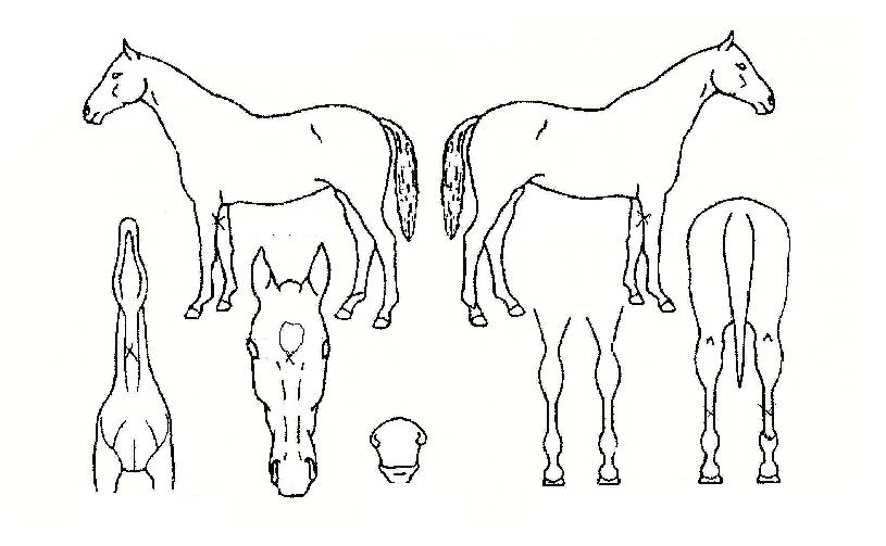 ����ȯ���� ����,���,�޸�,�λ�,�ٸ��� Ư¡����