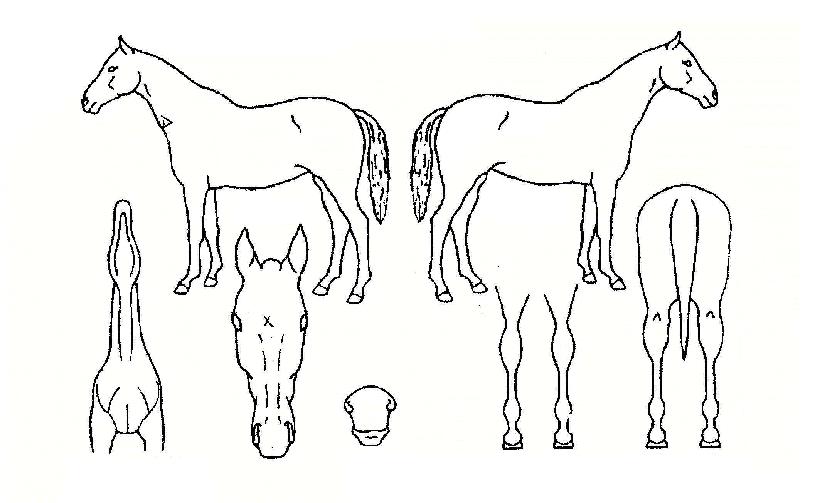 �¿ռ��� ����,���,�޸�,�λ�,�ٸ��� Ư¡����