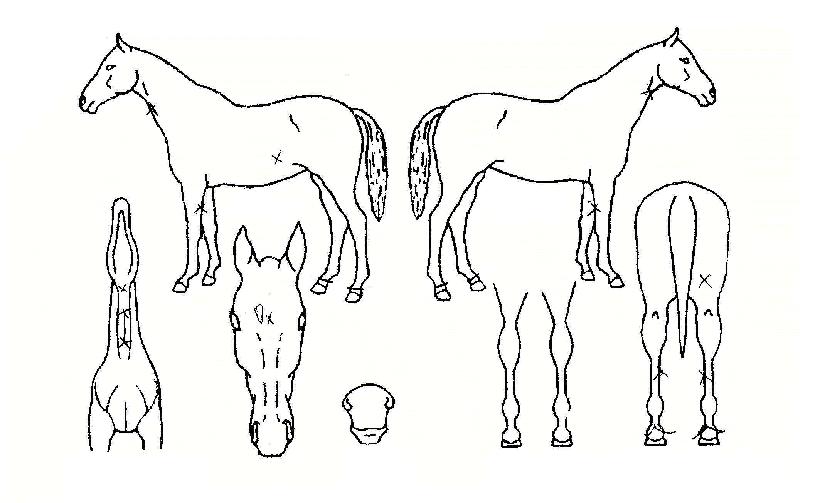 Ǯ������ ����,���,�޸�,�λ�,�ٸ��� Ư¡����