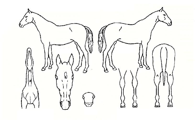 ���ڷ��� ����,���,�޸�,�λ�,�ٸ��� Ư¡����