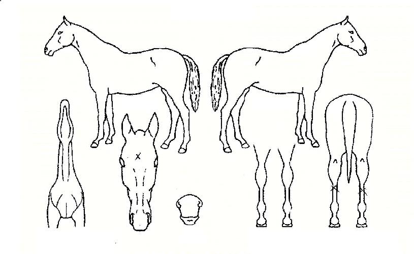 ����ó���� ����,���,�޸�,�λ�,�ٸ��� Ư¡����